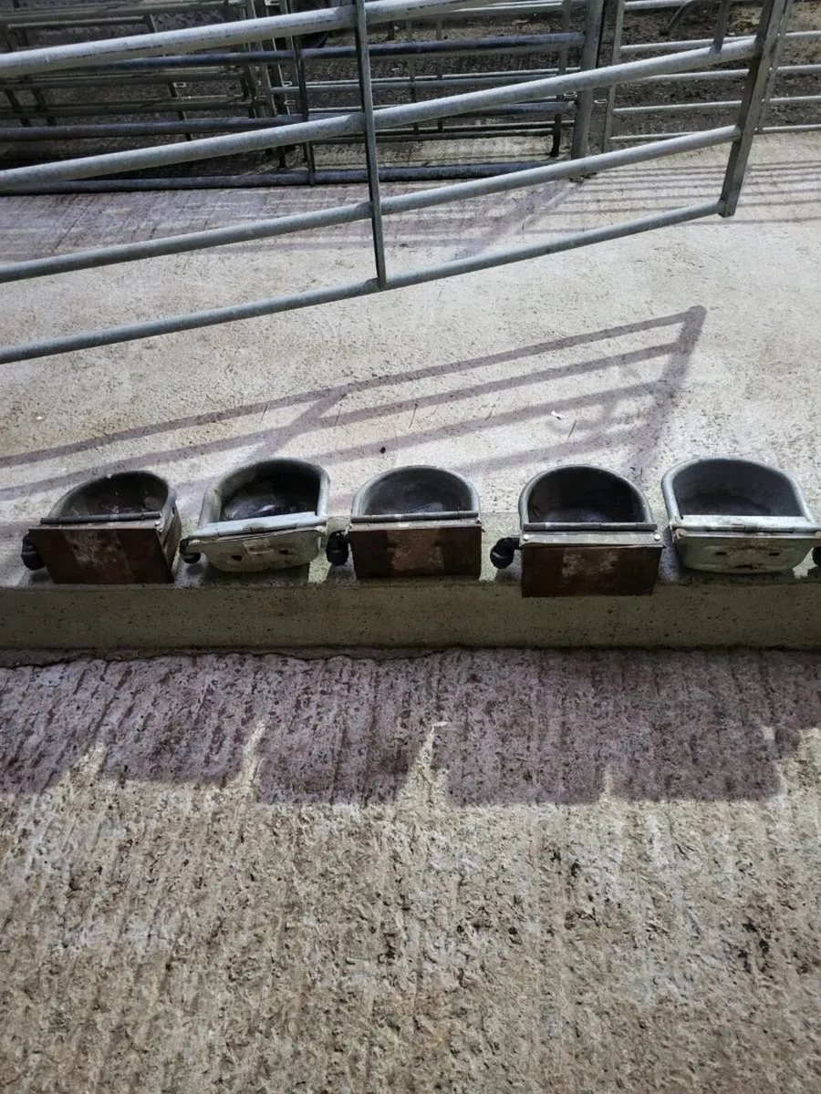 Water trough's - Image 1