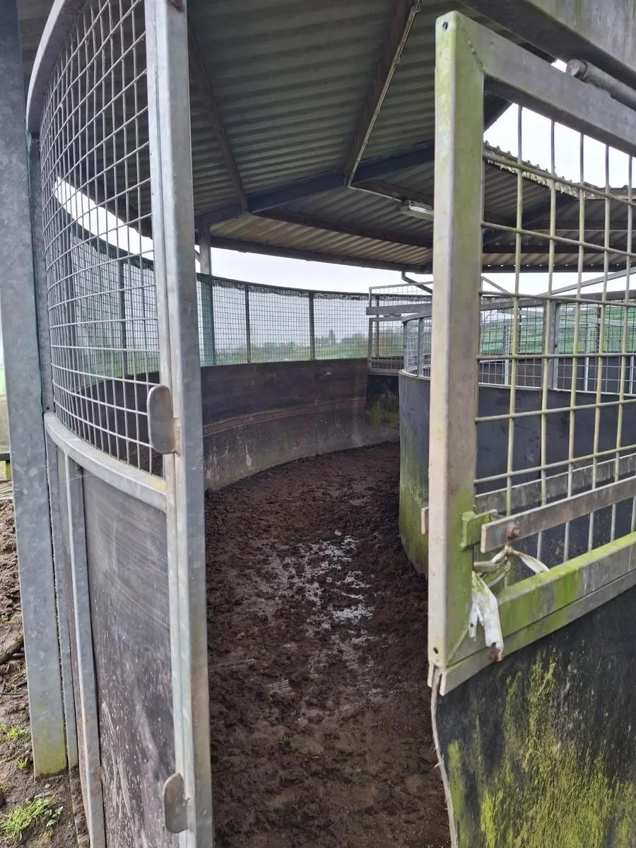 Equestrian Horse Walker - Image 3