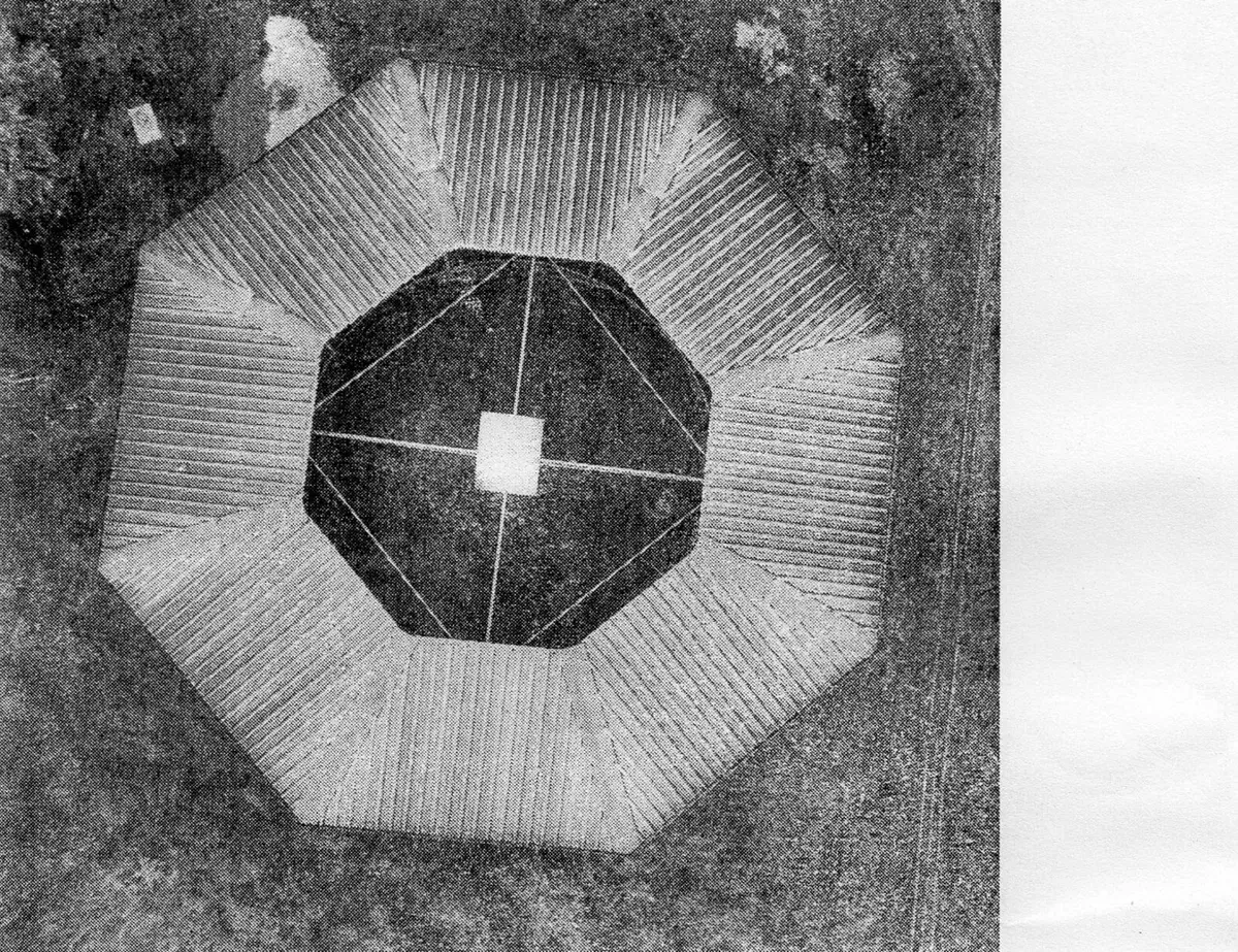 Equestrian Horse Walker - Image 4