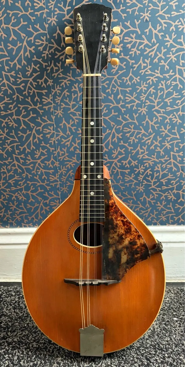 Gibson Mandooin - Image 1