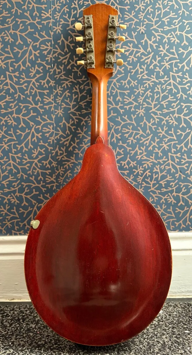 Gibson Mandooin - Image 2