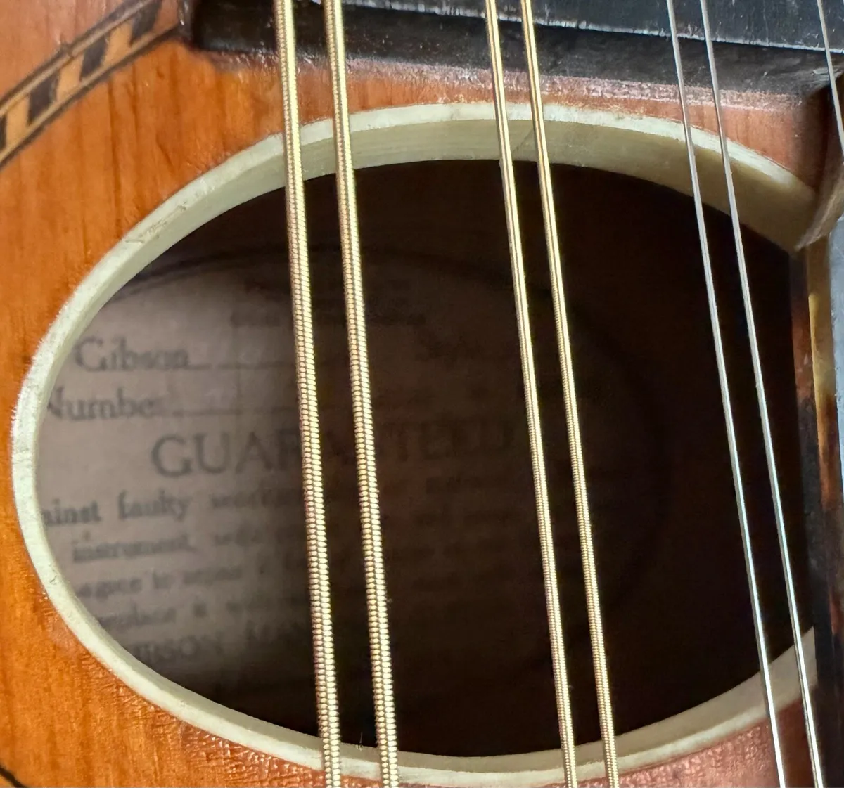 Gibson Mandooin - Image 3