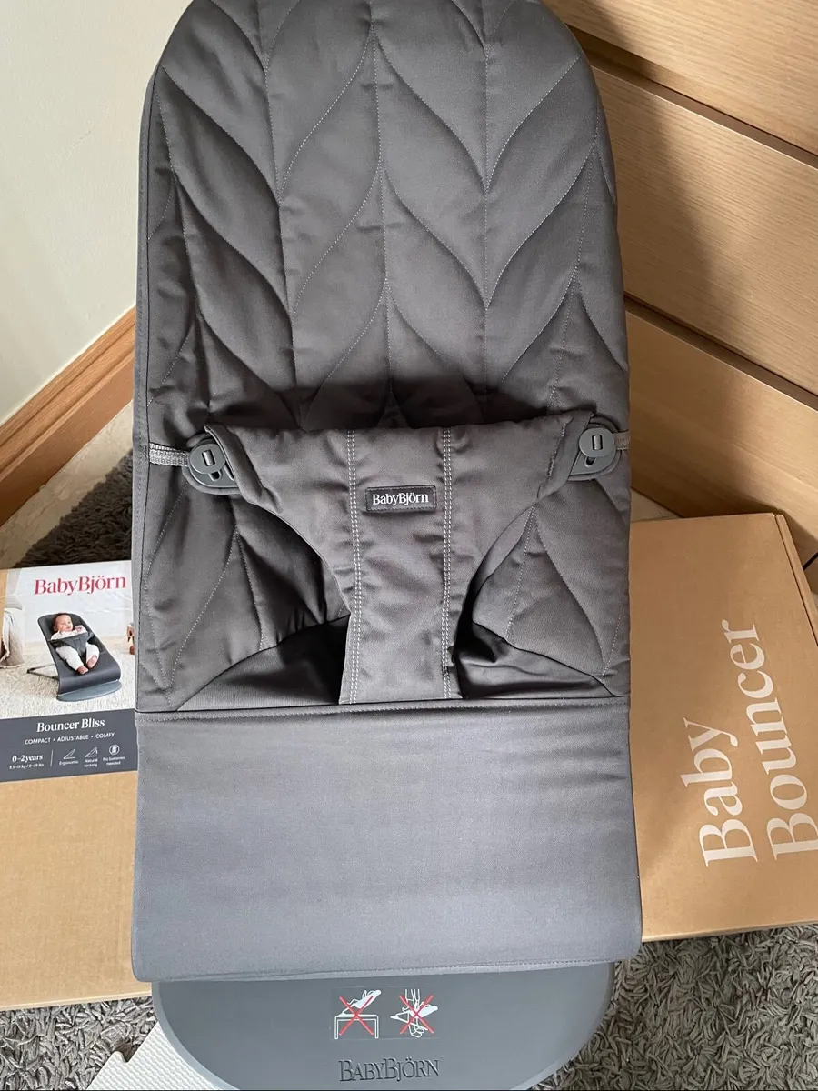 Baby bjorn bouncer - Image 2