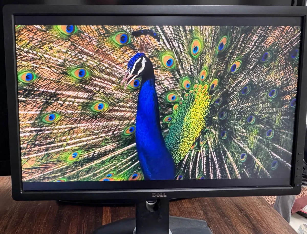 Dell U2412M 24” Monitor – Height Adjustable – €80 - Image 1