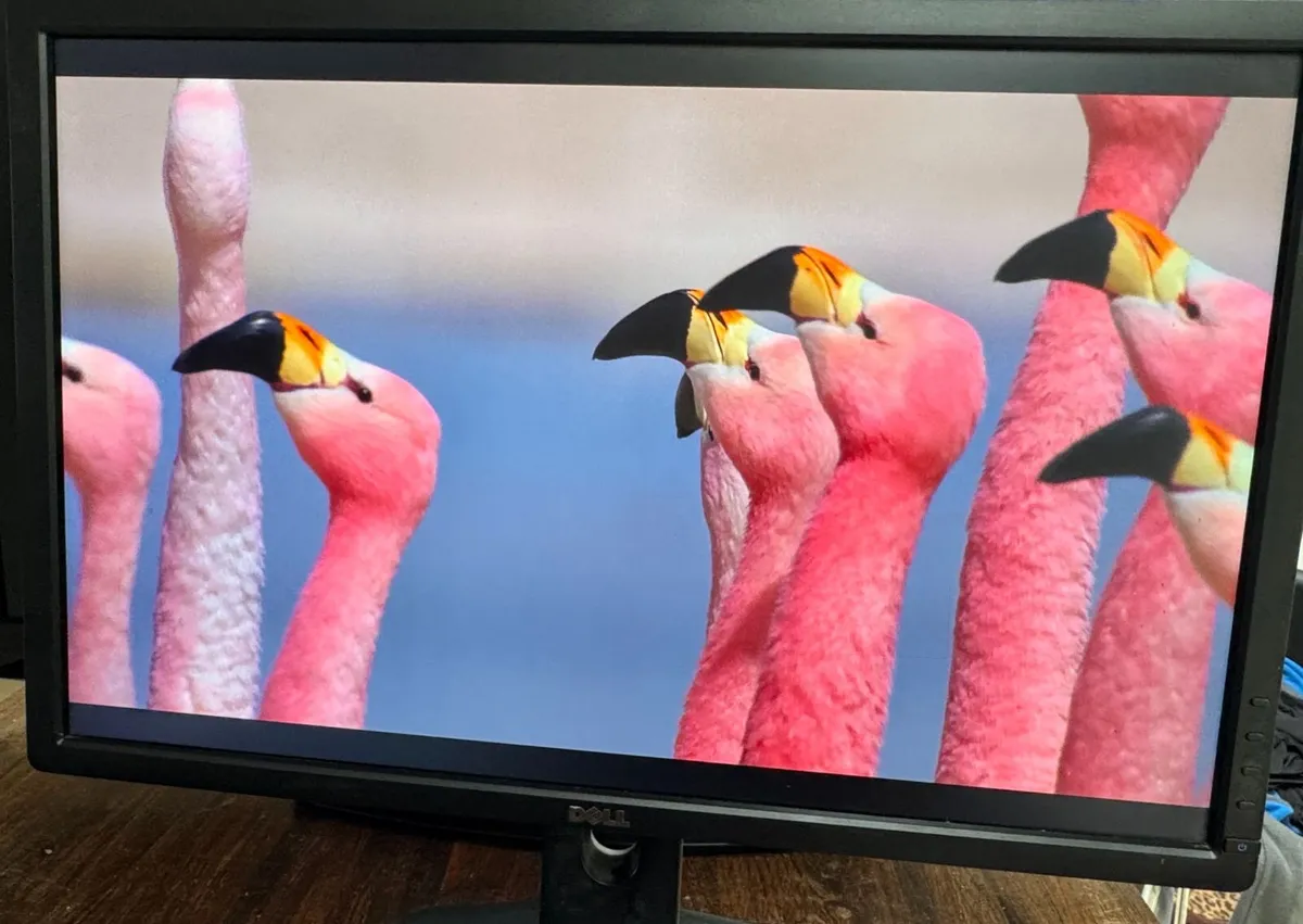 Dell U2412M 24” Monitor – Height Adjustable – €80 - Image 3