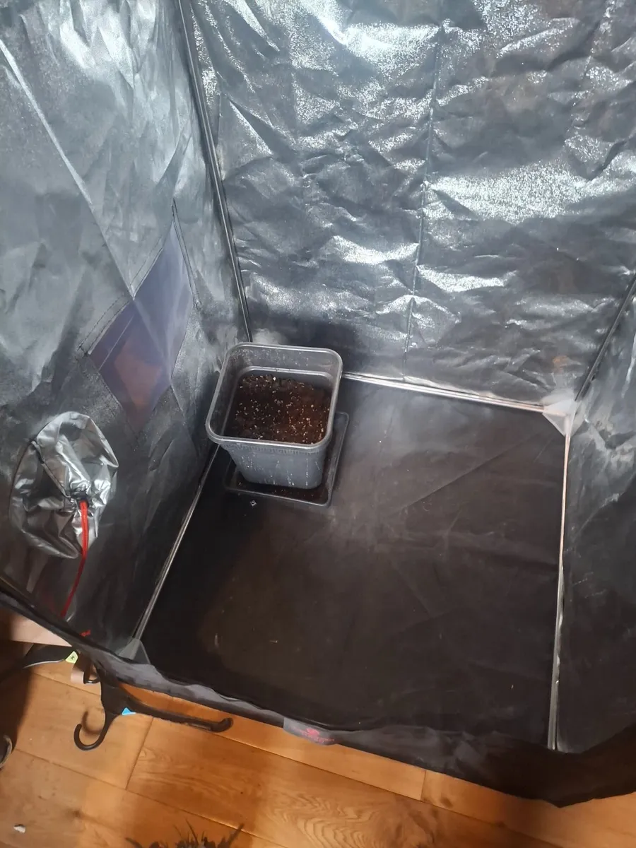 Grow tent - Image 2