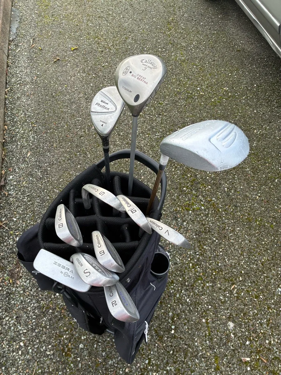 Ladies Clubs and Bag - Image 3