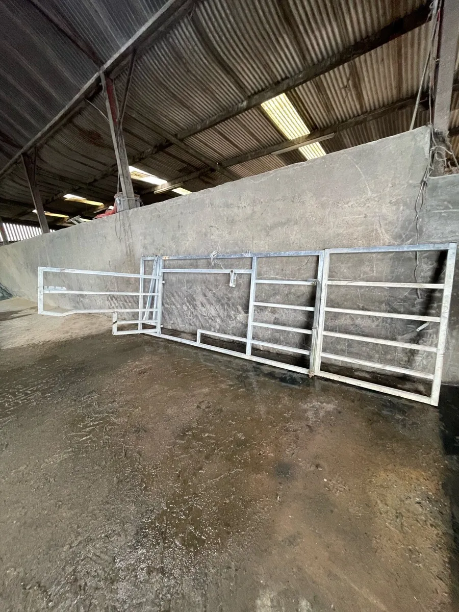 Calving gate - Image 3