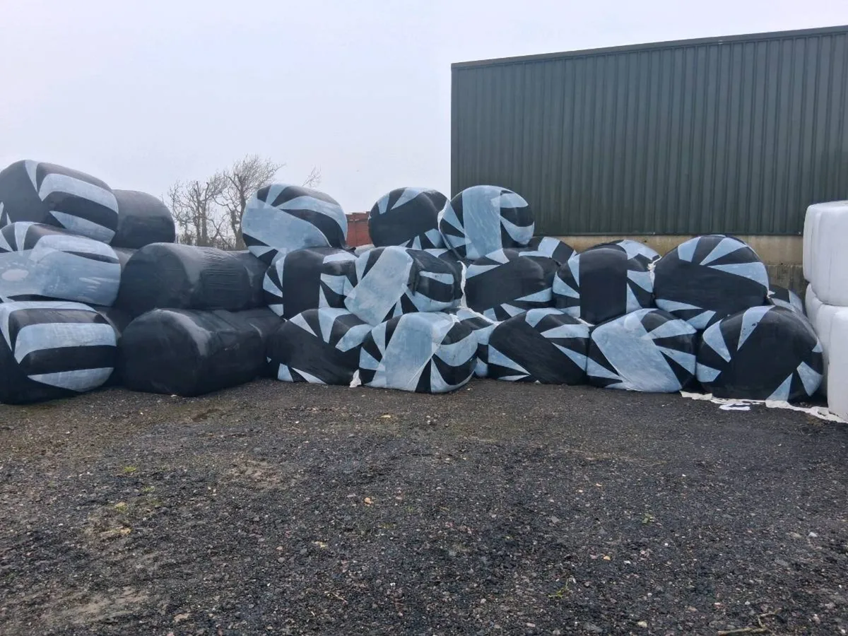 Silage for sale