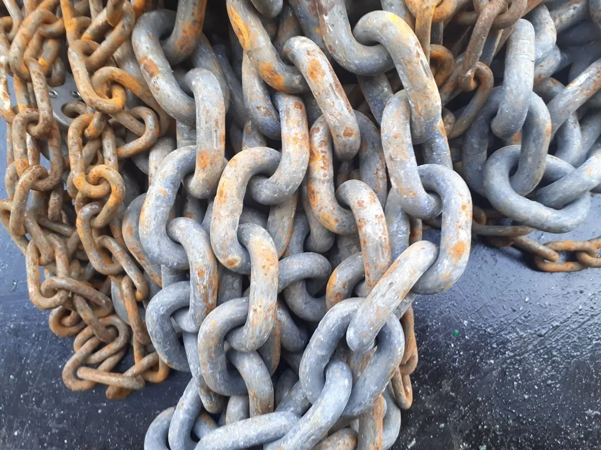 TIGER 3 TON CHAIN HOIST - Image 2