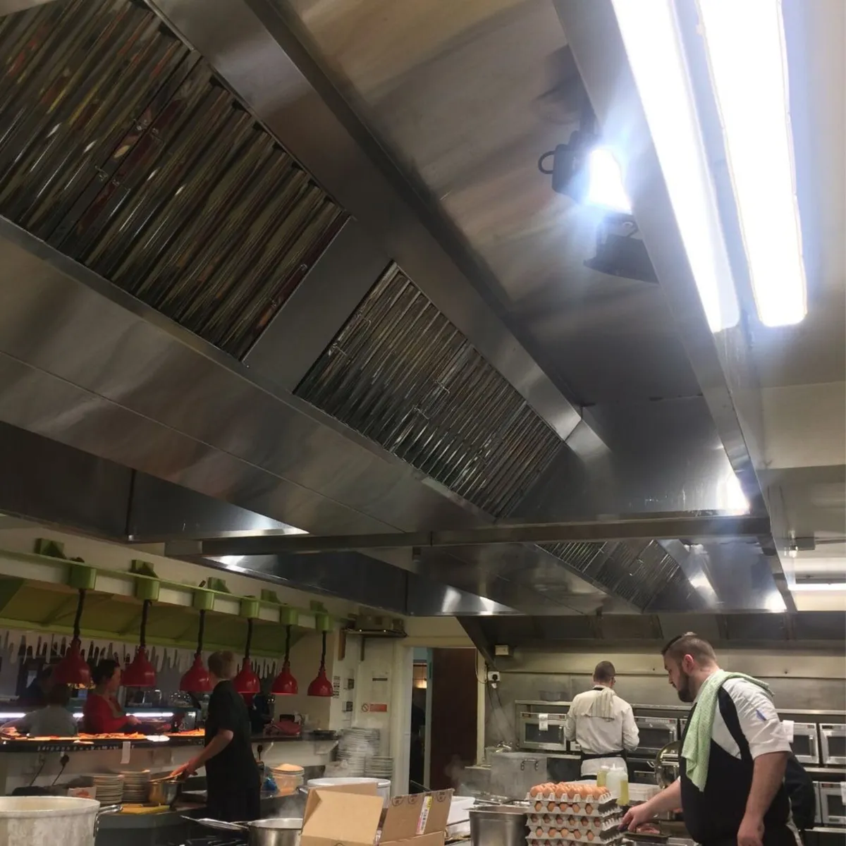 stainless canopy extract - Image 3