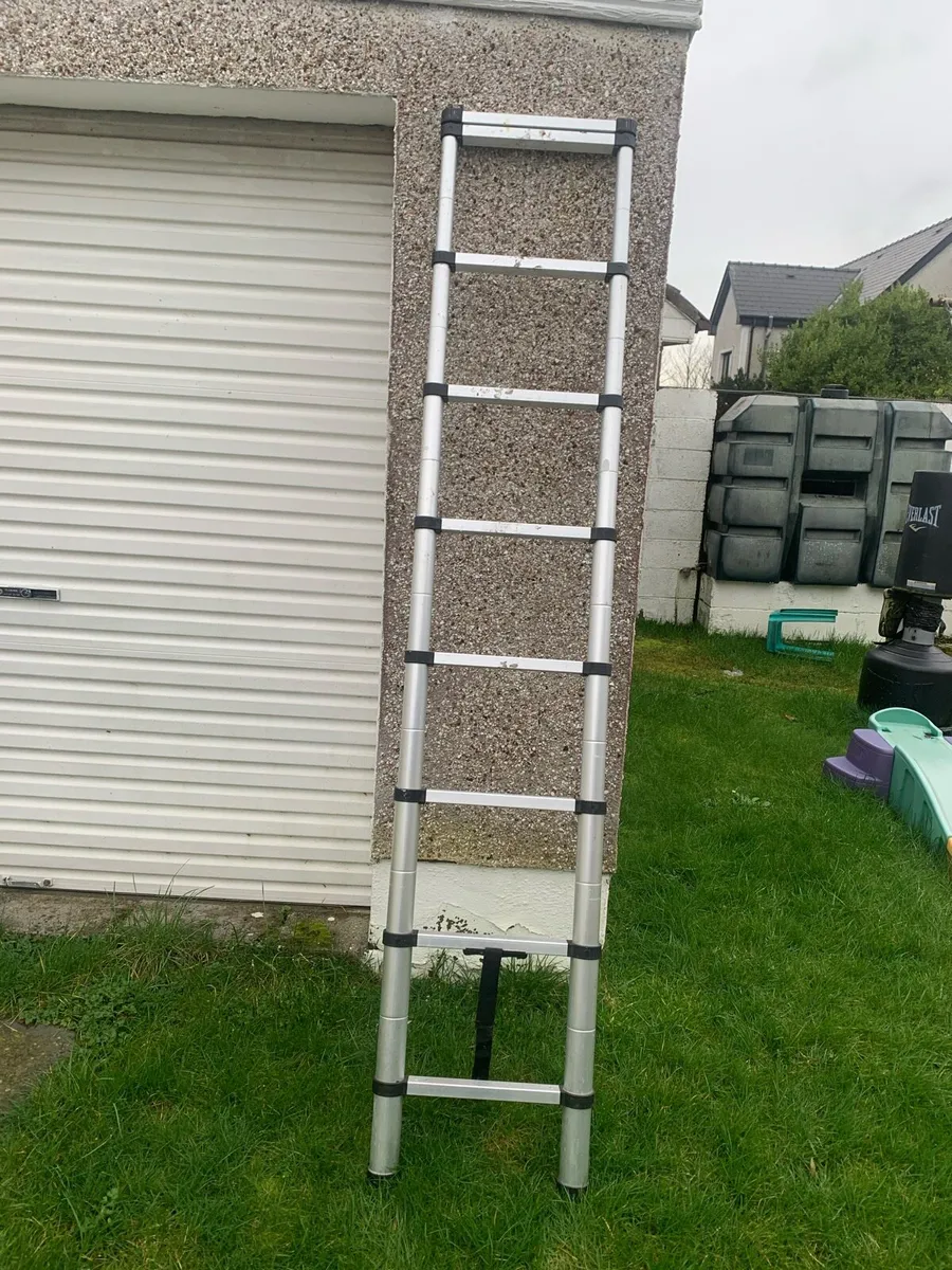 telescopic ladder - Image 1