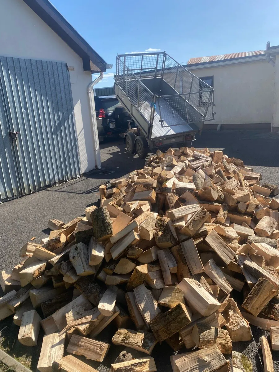 Kiln dried Ash 5 m3 €650 delivered. - Image 2