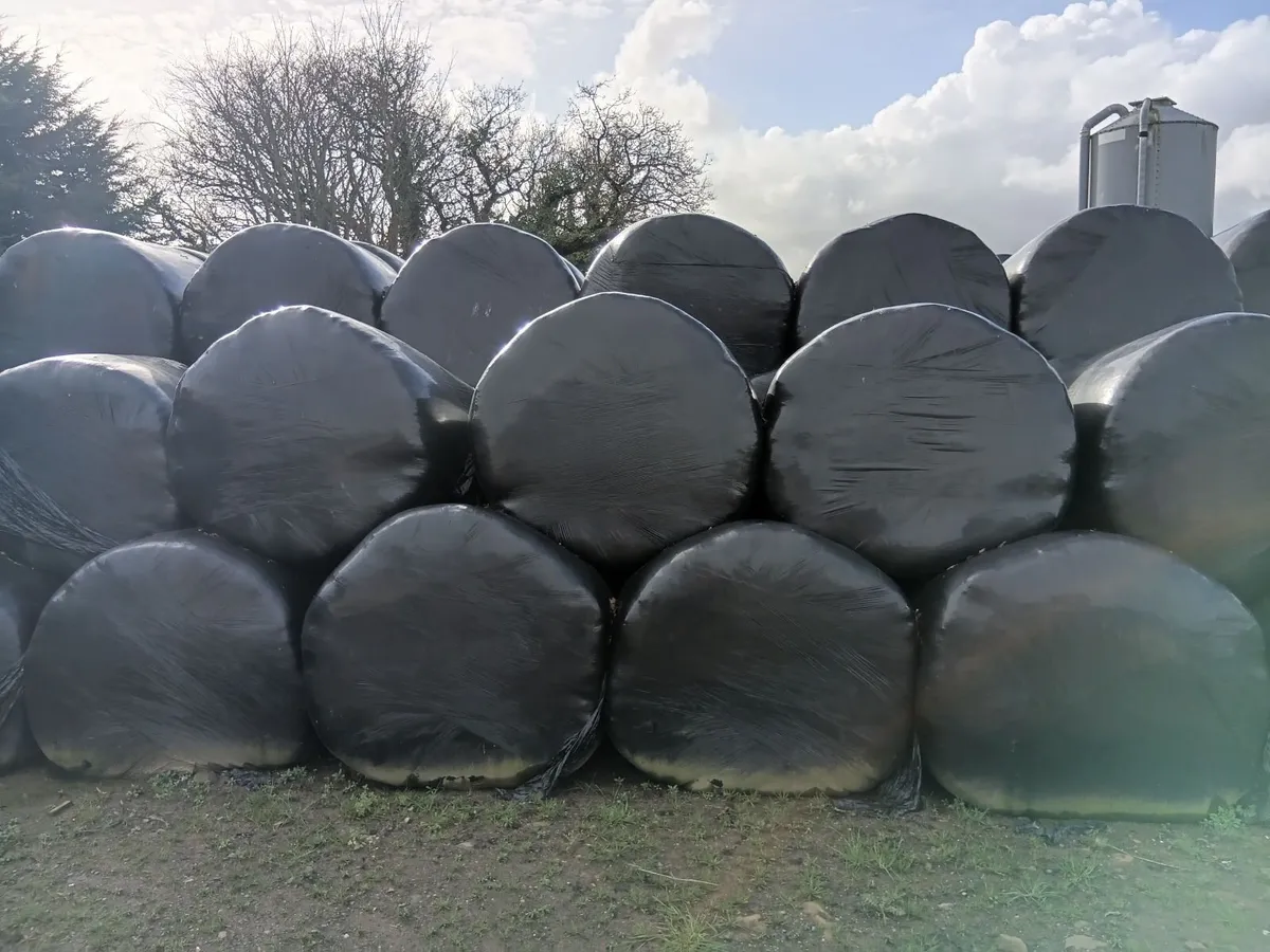 Silage Round Bales - Image 1