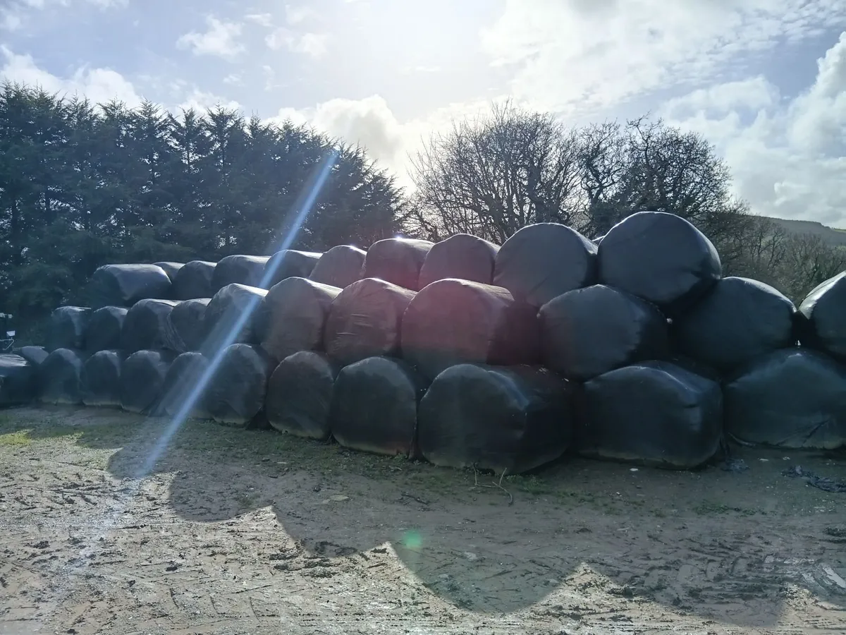 Silage Round Bales - Image 2