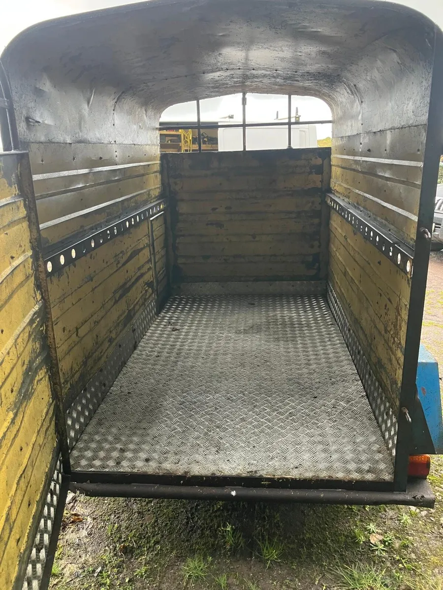 Cow box 8×4'6 - Image 1