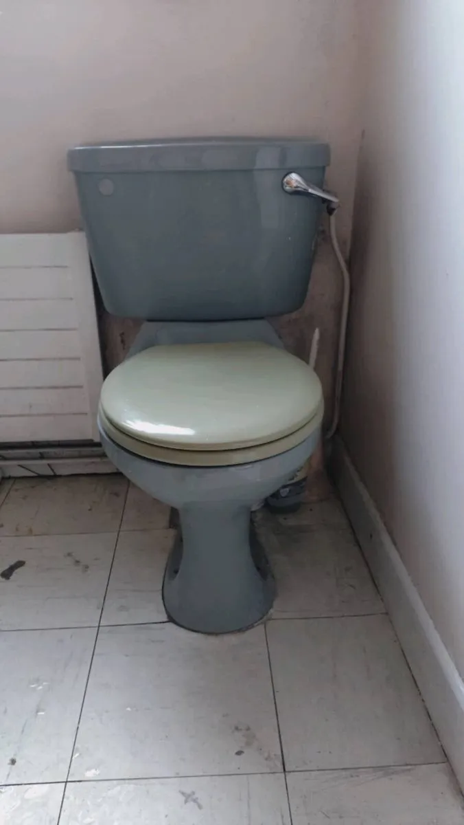 Teal green Armitage Shanks bathroom suite - Image 4