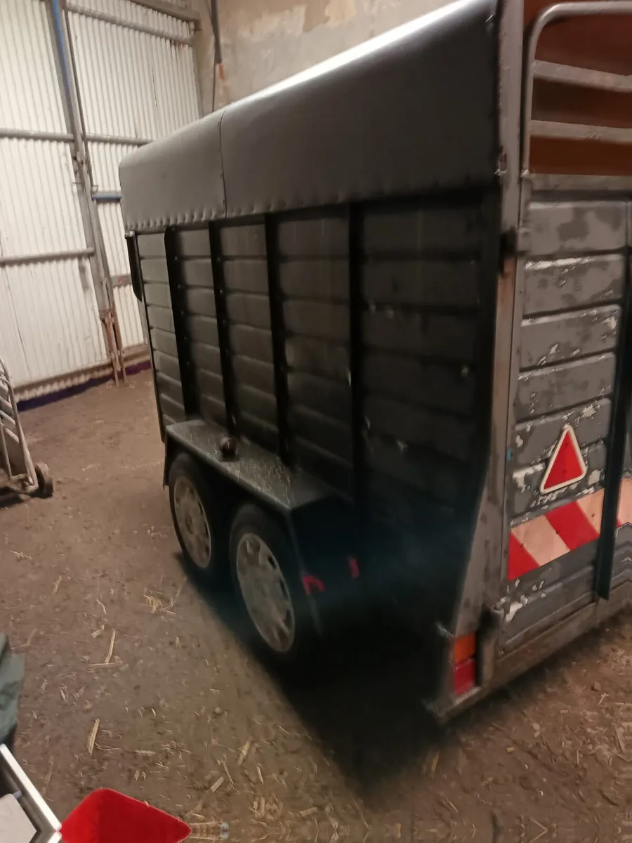 2 cow trailer - Image 4