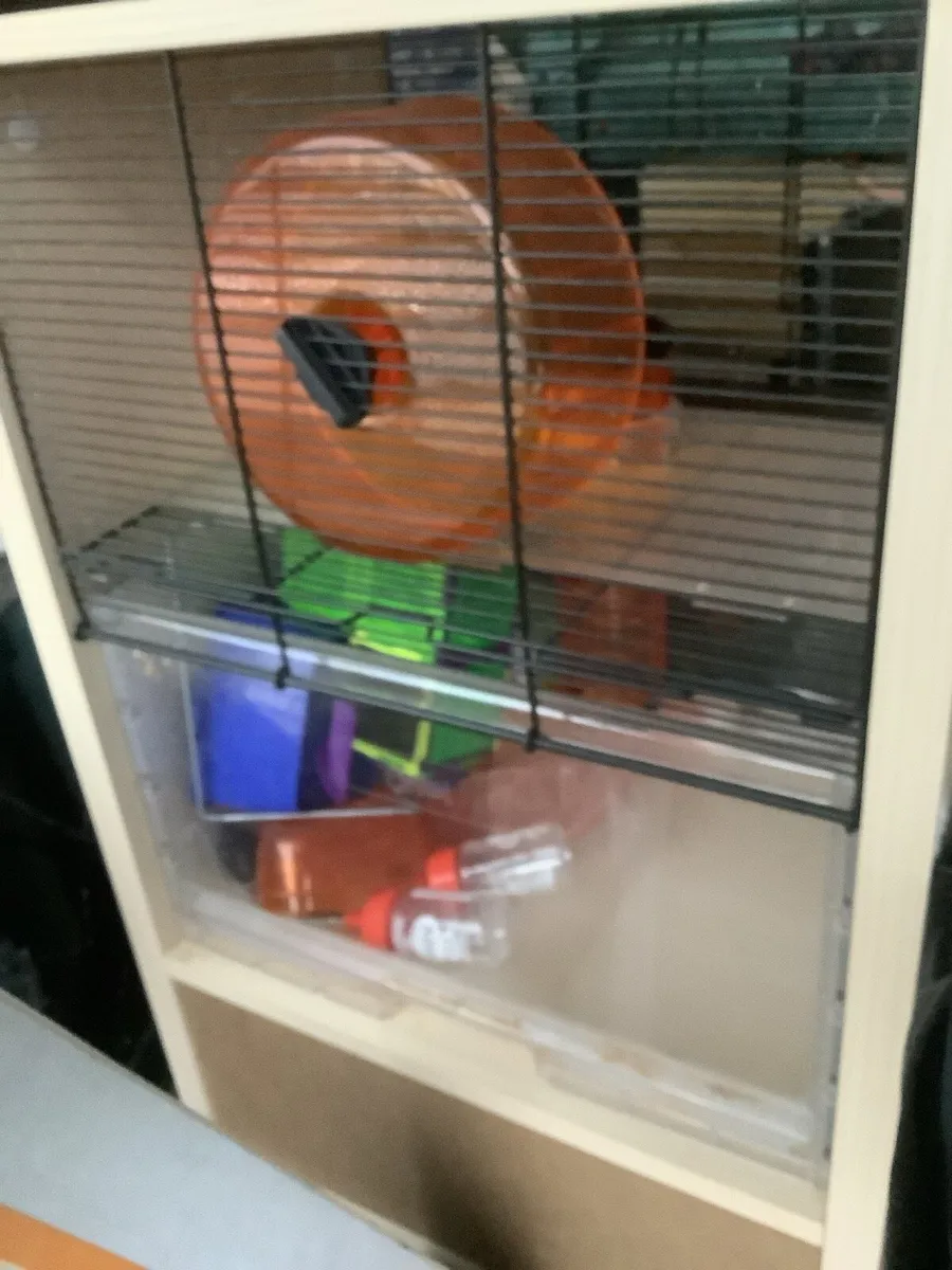 OMLET Hamster cage and accessories. - Image 3