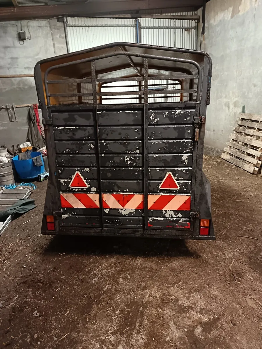 2 cow trailer - Image 3
