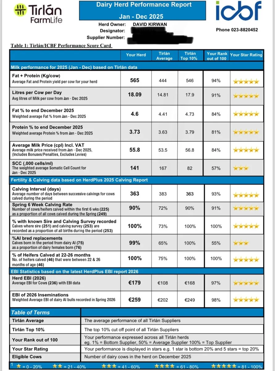 Dairy Cows & Heifers - Image 1