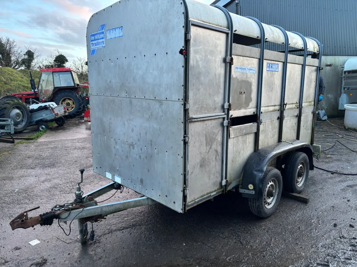 Used Ivor Williams 10X6 - Image 1