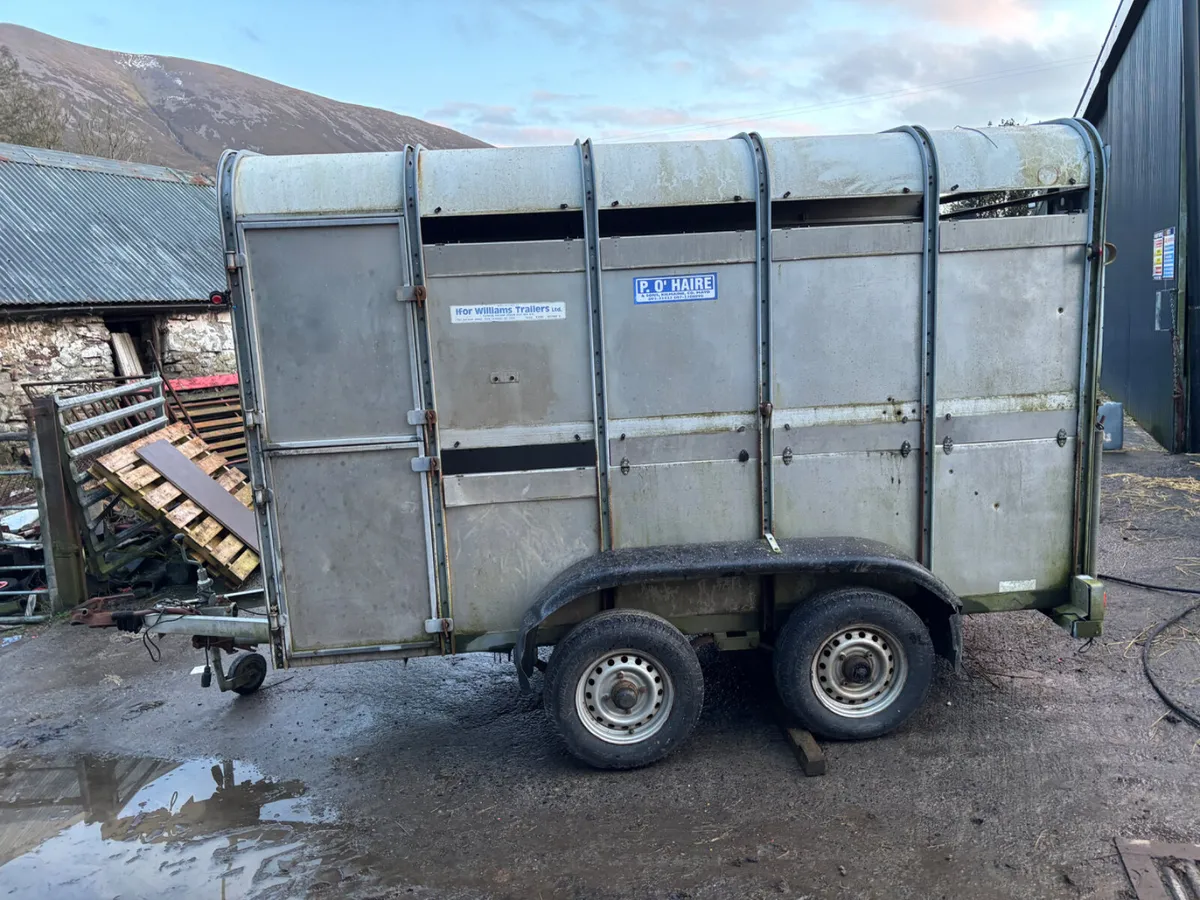 Used Ivor Williams 10X6 - Image 4