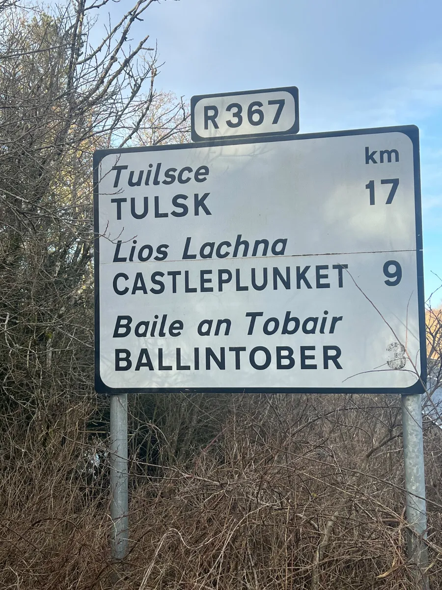 Smashing Heifers • Roscommon today - Image 1