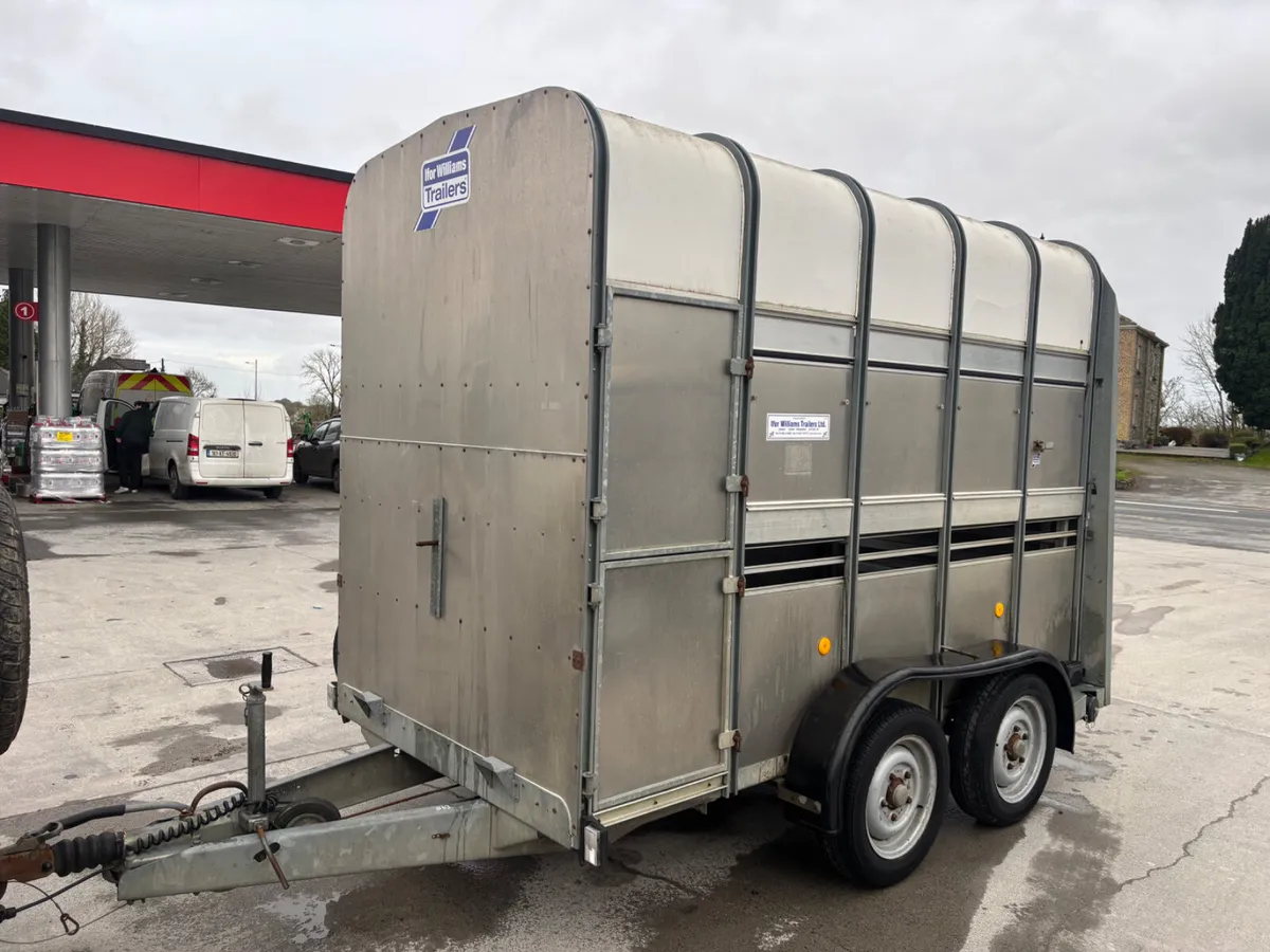 ifor williams ta5 10ft highroof - Image 4