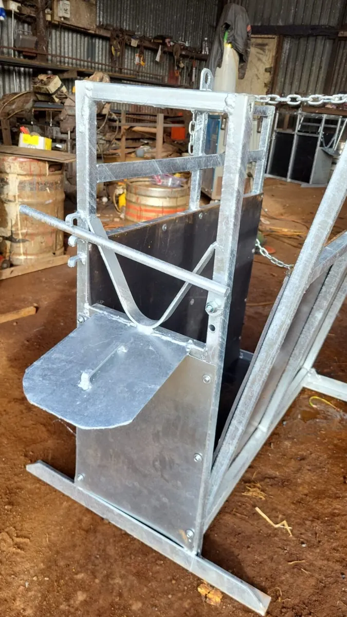 Calf  De horning Crate - Image 1