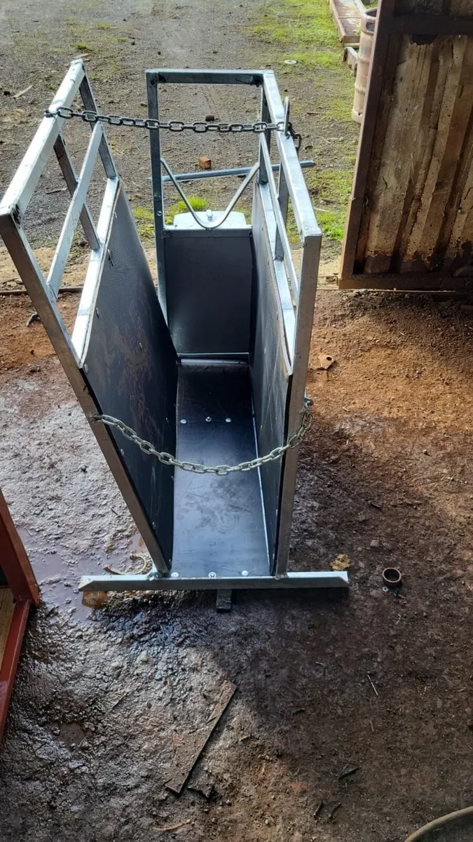 Calf  De horning Crate - Image 4