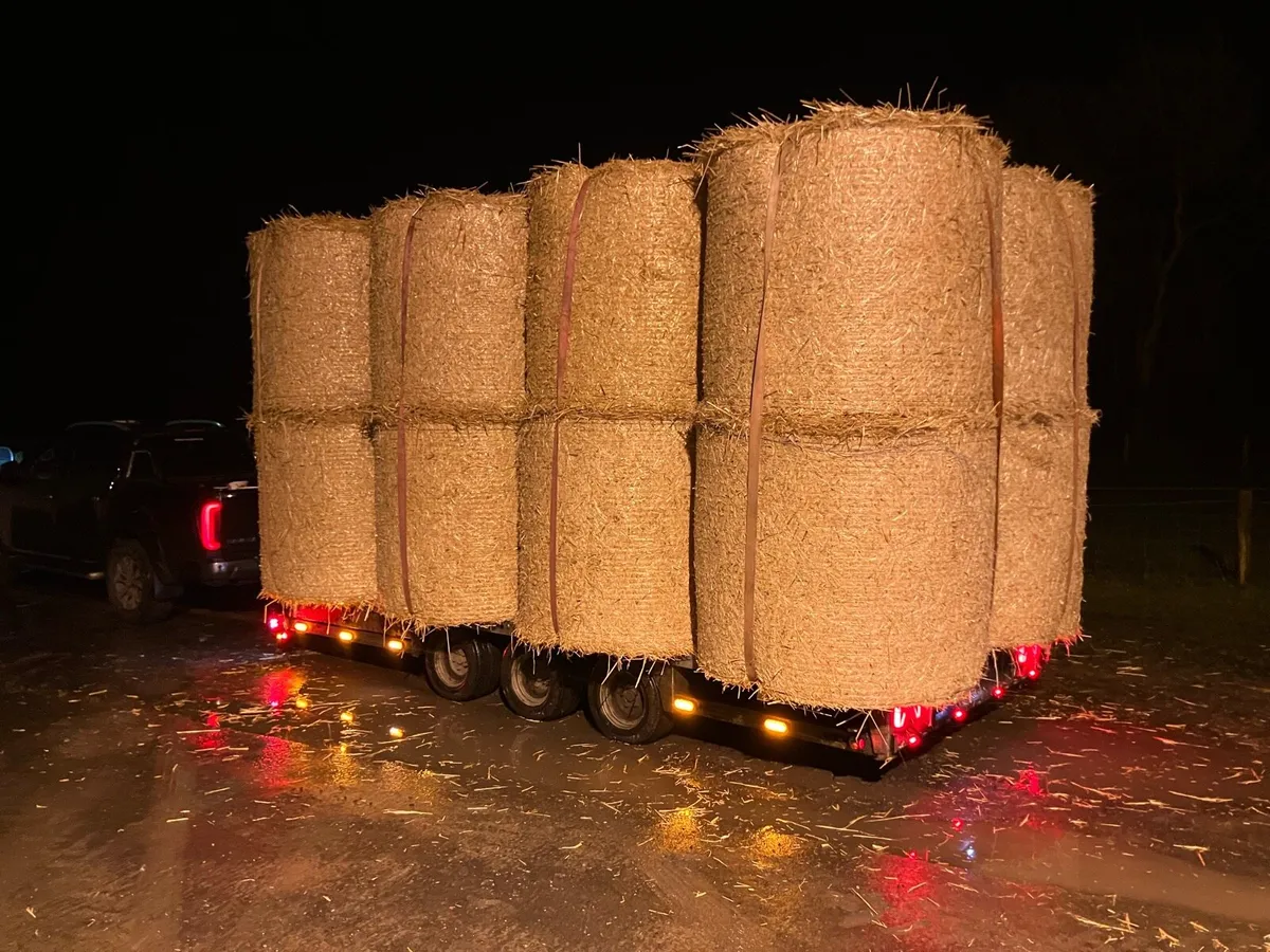 STRAW & HAY     Delivered to Farm - Image 4