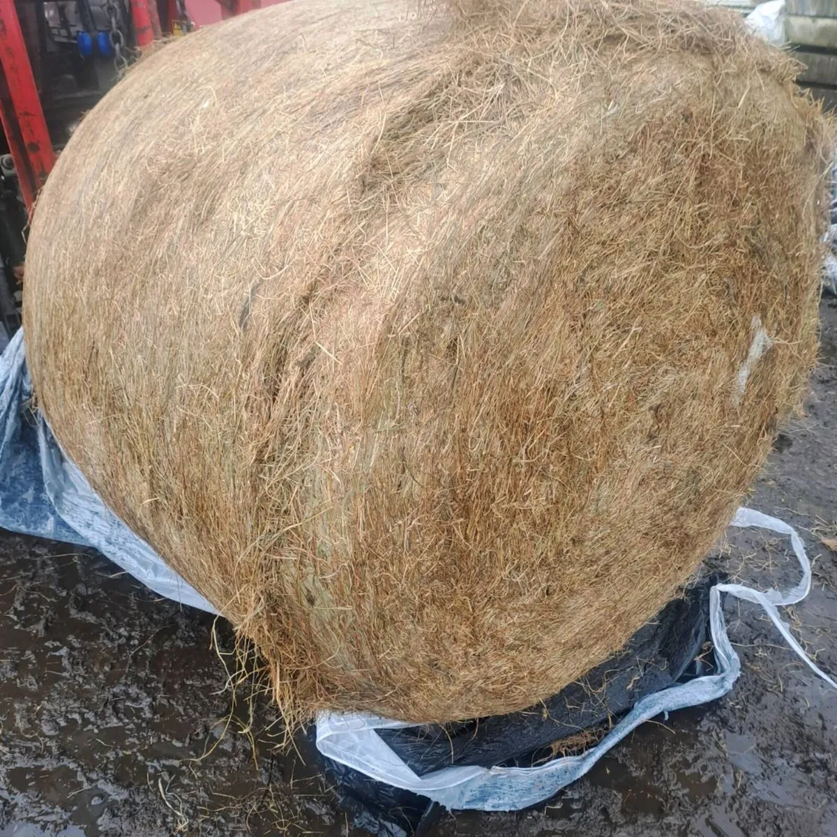 Silage dry - Image 1