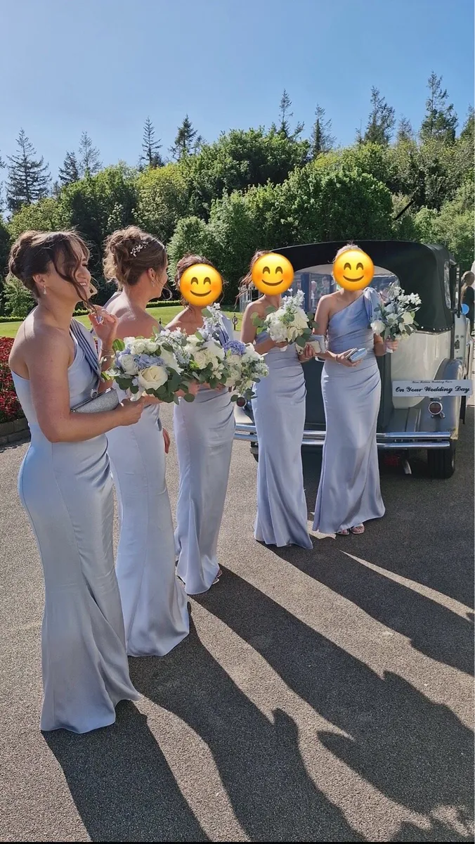 5 Bridesmaids Dresses for Sale - Image 4