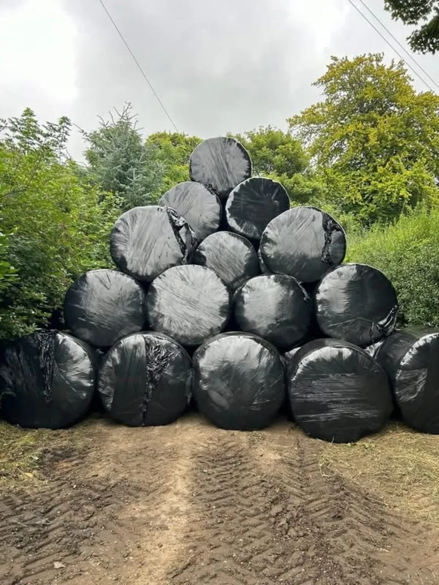 200 Round bales of silage - Image 1