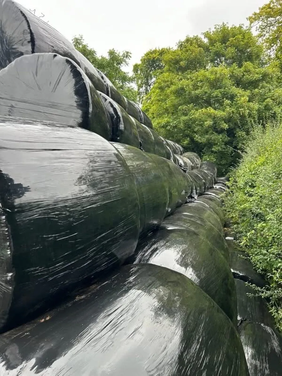 200 Round bales of silage - Image 2