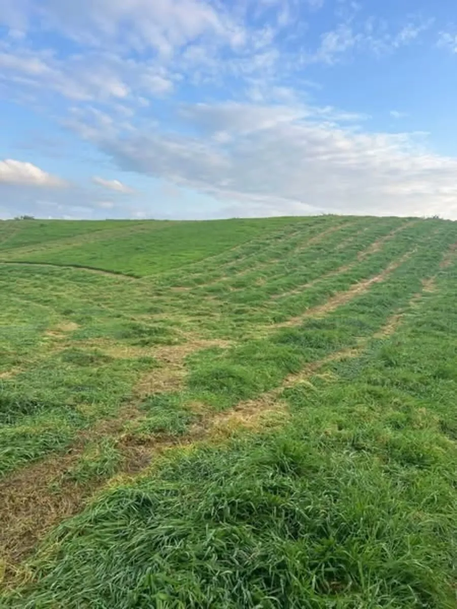 200 Round bales of silage - Image 3