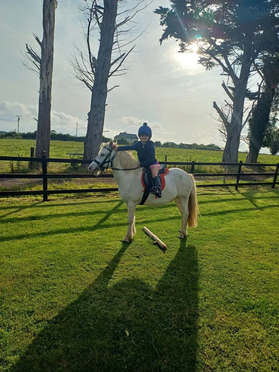 12.2 gleding - Image 1