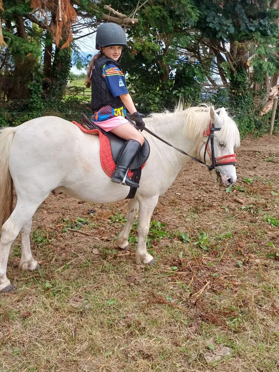 12.2 gleding - Image 3