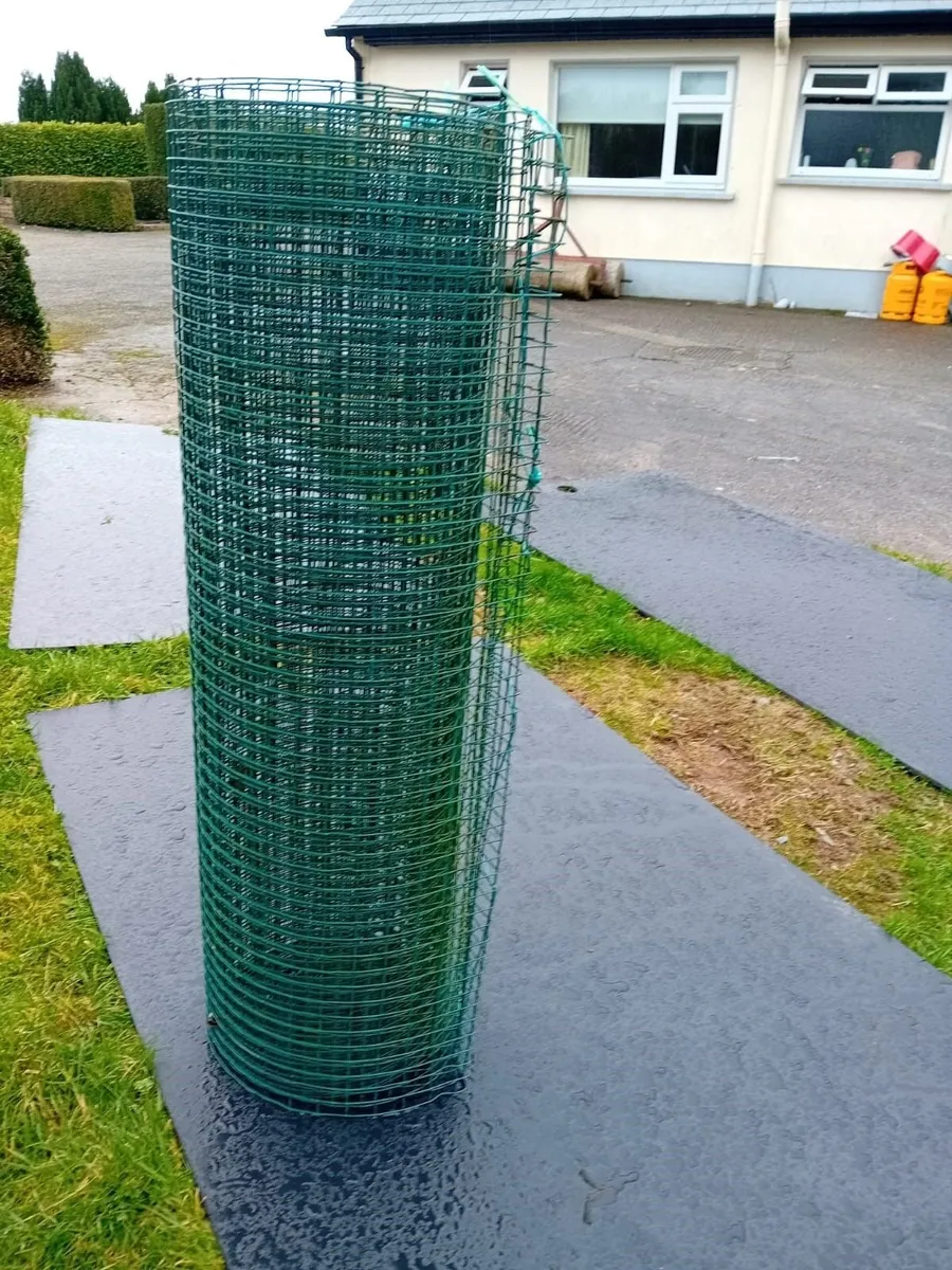 Dog Fenced Enclosure - Image 1