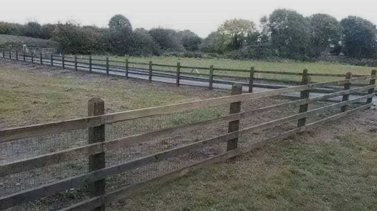 CARPENTRY FENCING GARDEN MAINTENANCE - Image 4