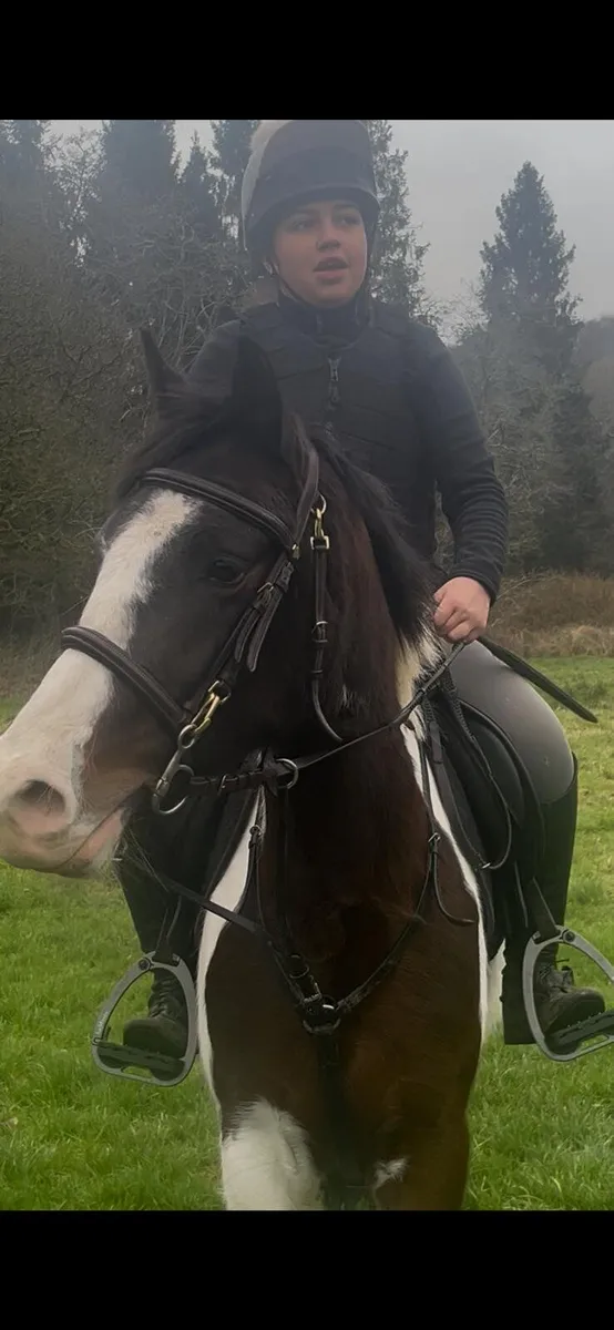 Perfect child's pony - Image 2