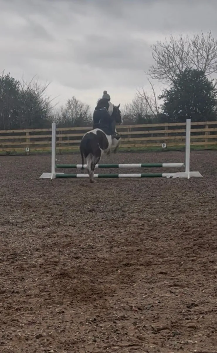 Perfect child's pony - Image 4