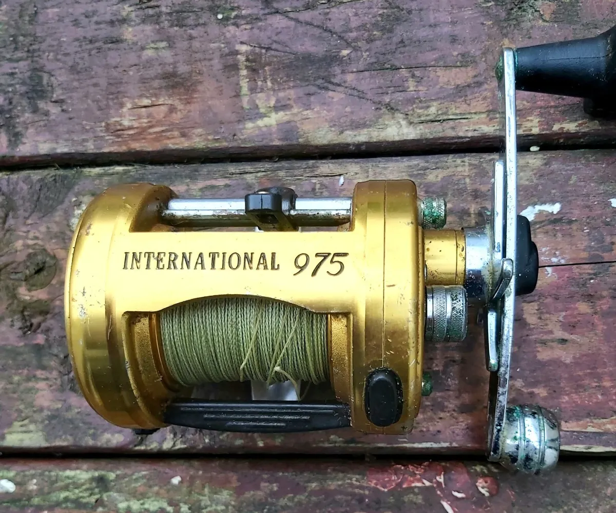 Fishing reels Penn
