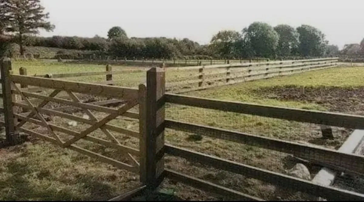 Side entrance Gates Fencing - Image 2