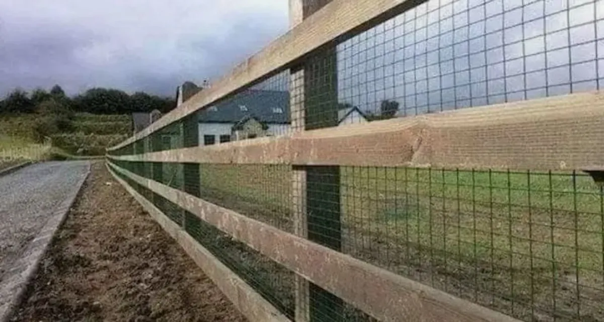 Side entrance Gates Fencing - Image 4