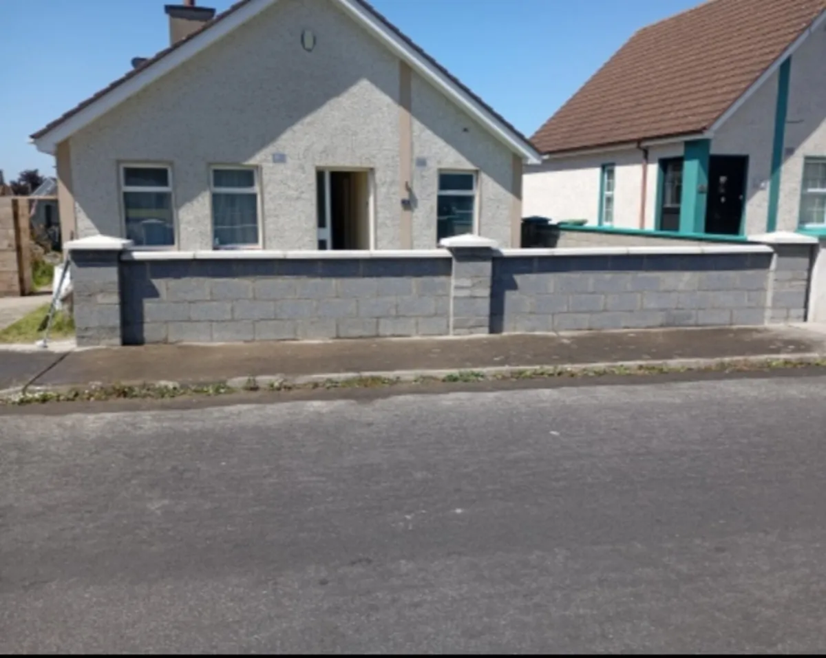 Handyman services Carlow/Leinster - Image 1