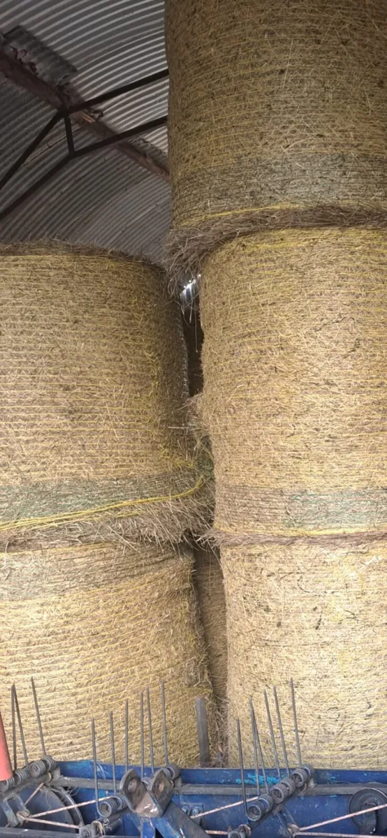 Round Bales Hay - Image 1