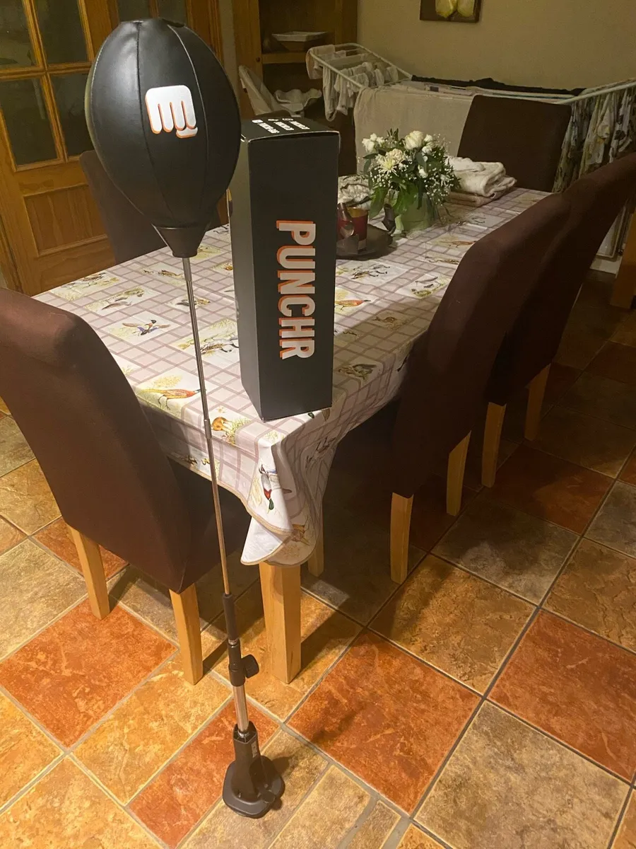 PUNCHR  speed and accuracy bag