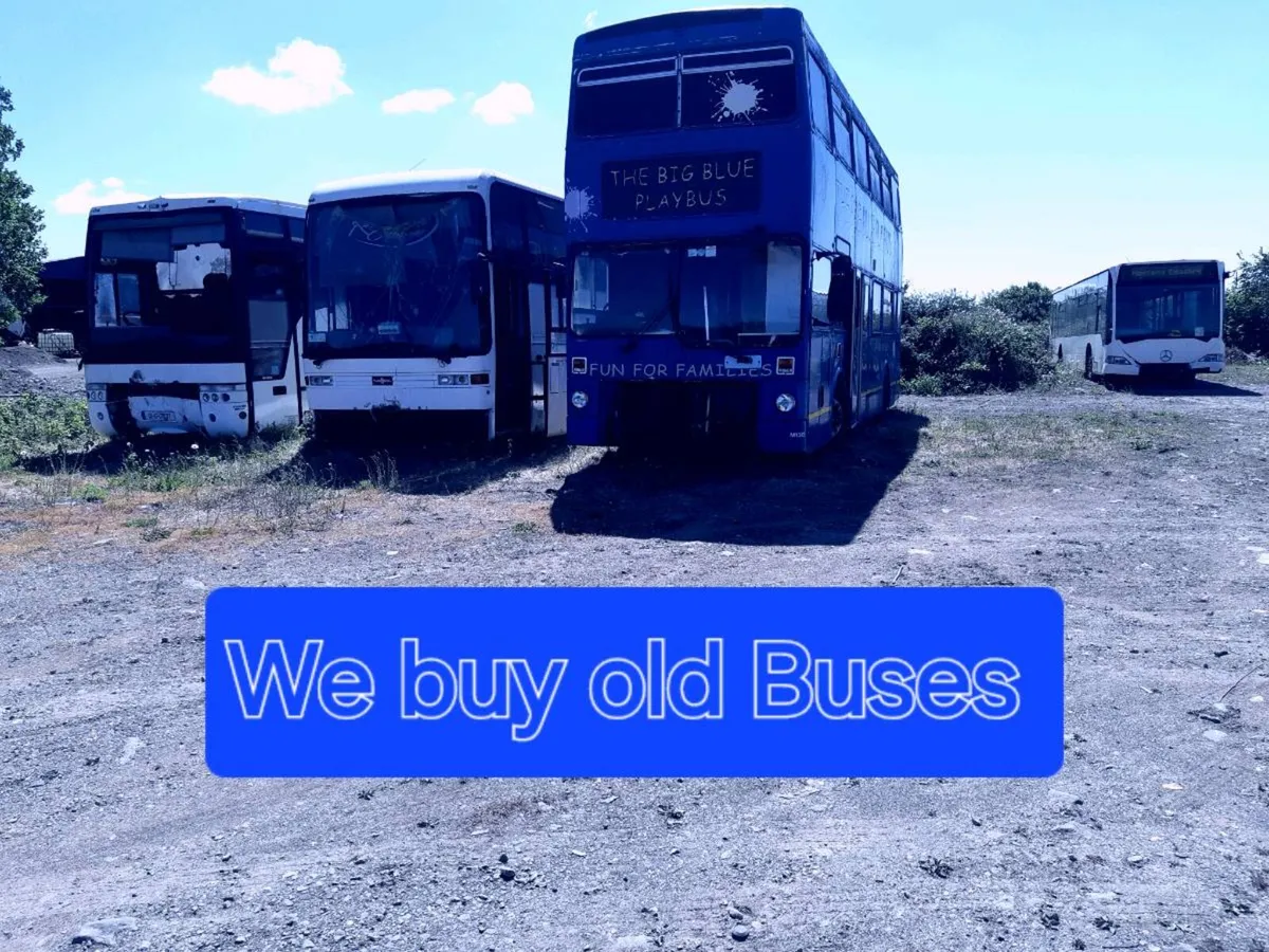 Old Buses Wanted - Image 1